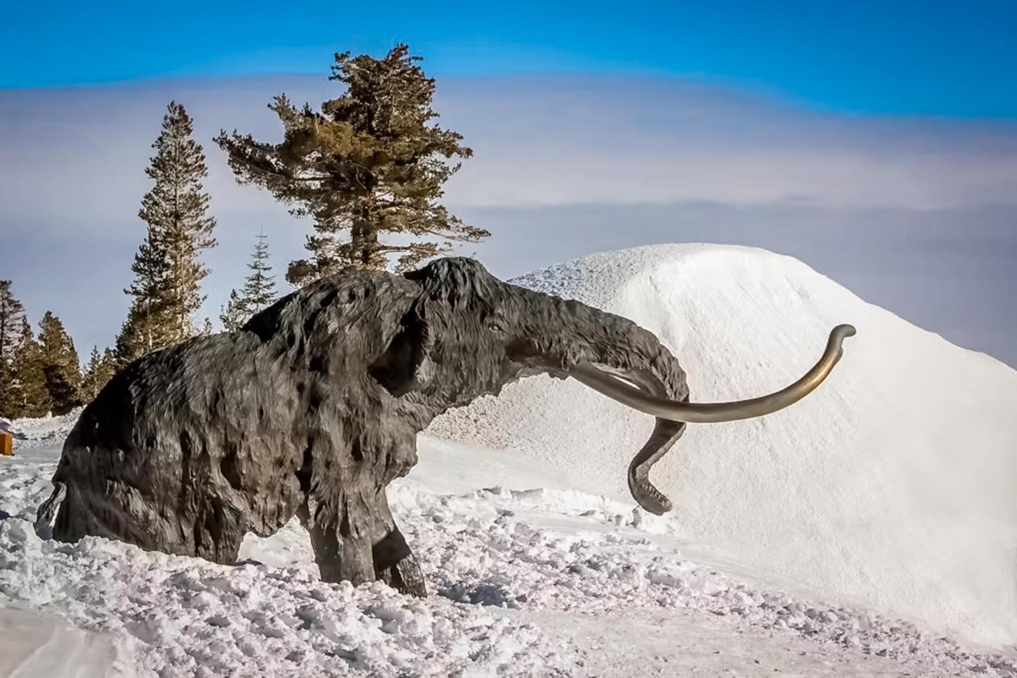 Appartamento The Bridges 102 Mammoth Lakes Esterno foto